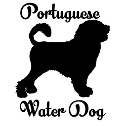 portuguese water dog